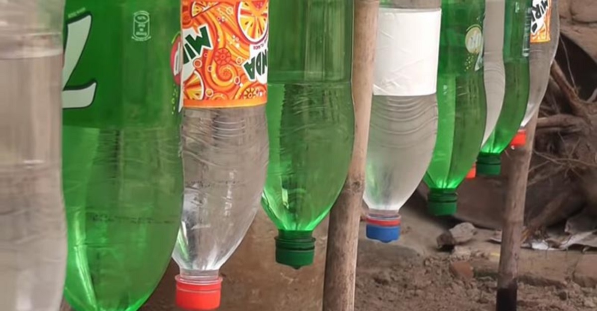 Капельный полив огурцов сделанный из бутылок. Пластиковые бутылки для полива. Капельный полив из бутылки. Пластиковые бутылки для полива огорода. Пластиковая бутылка для капельного полива.